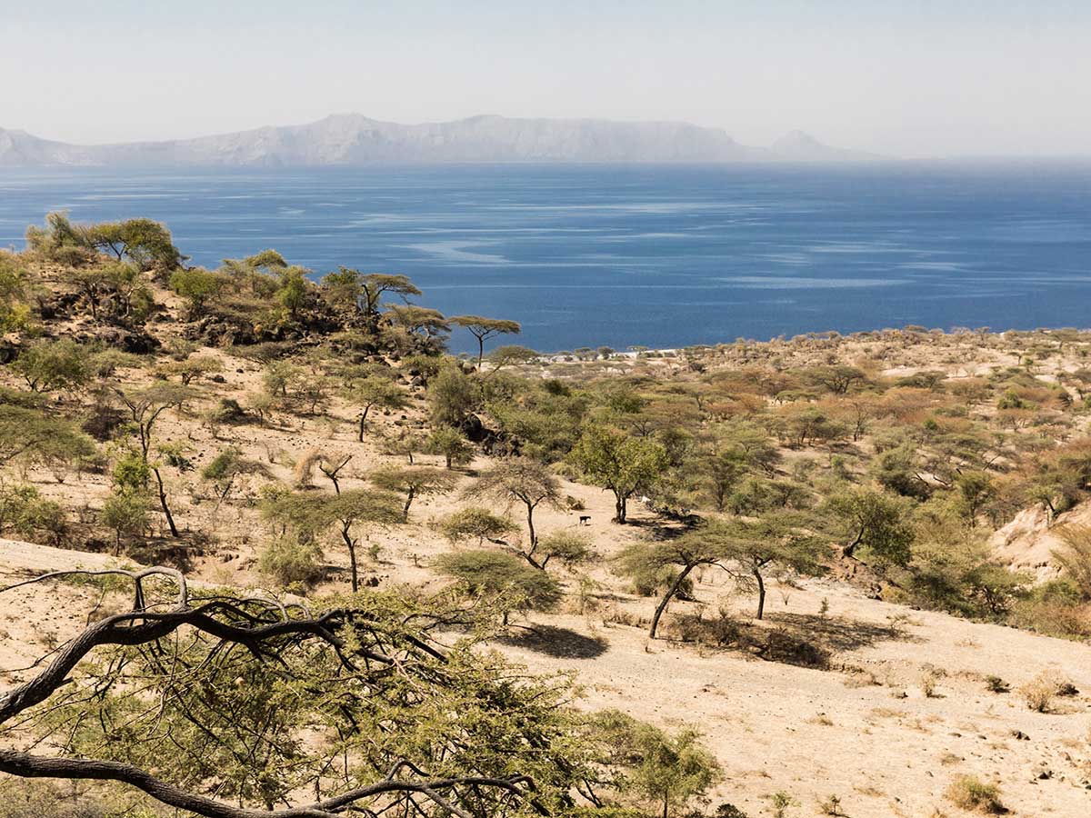 Mahteb Tours, Nechi Sar Nationalpark