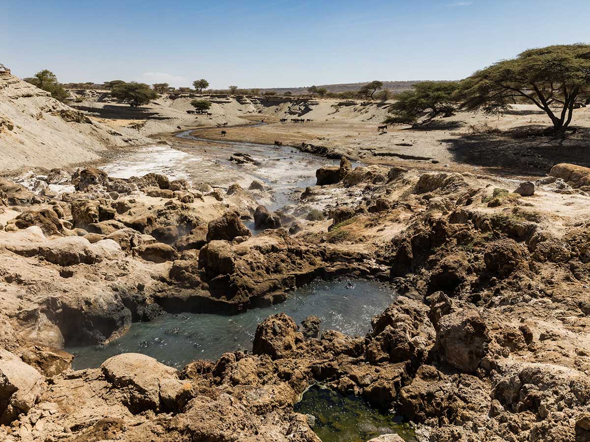 Mahteb Ethiopian Tours, Abiatta Shalla Lakes National Park hot springs