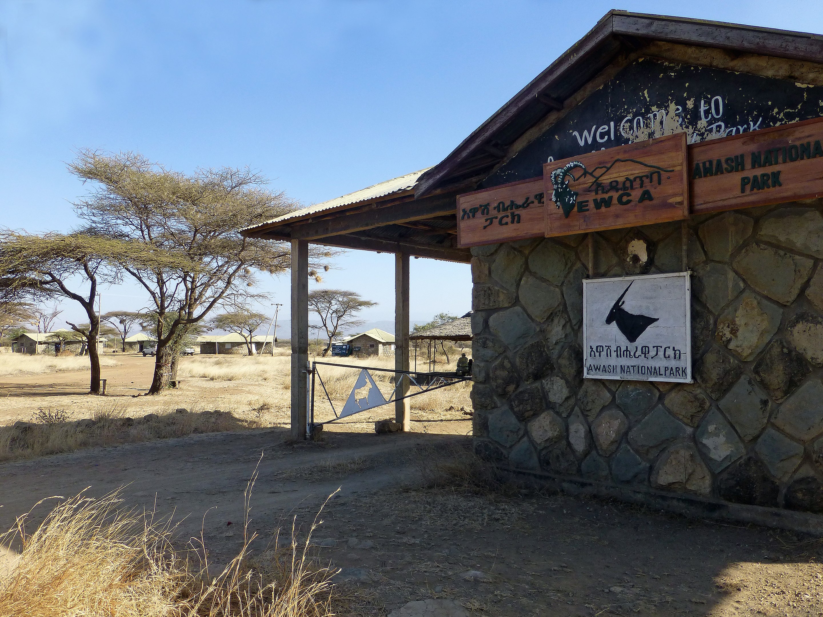 Mahteb Tours Ethiopia, Awash National Park