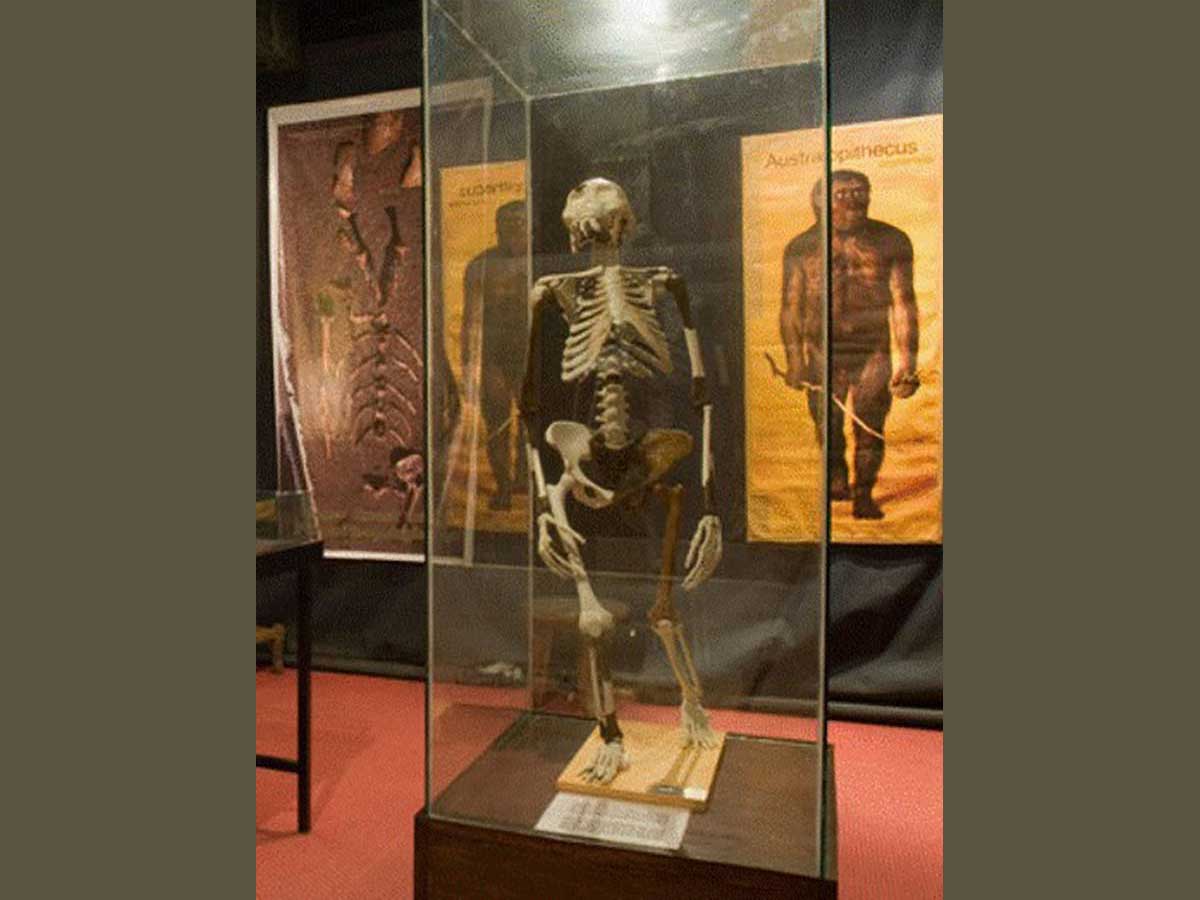 Addis Ababa National Museum, Luzy, Mahteb Ethiopian Tours