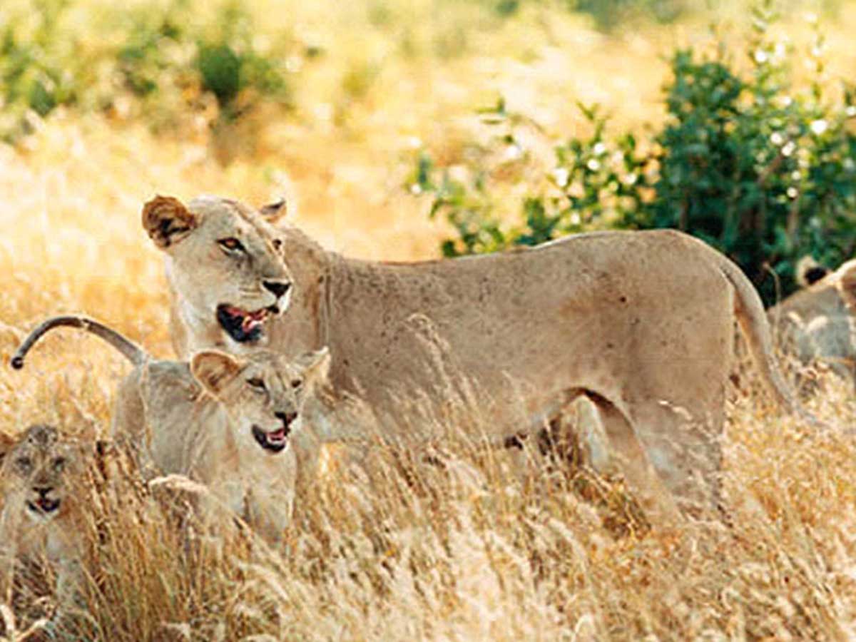 Mahteb Tours, Maze Nationalpark