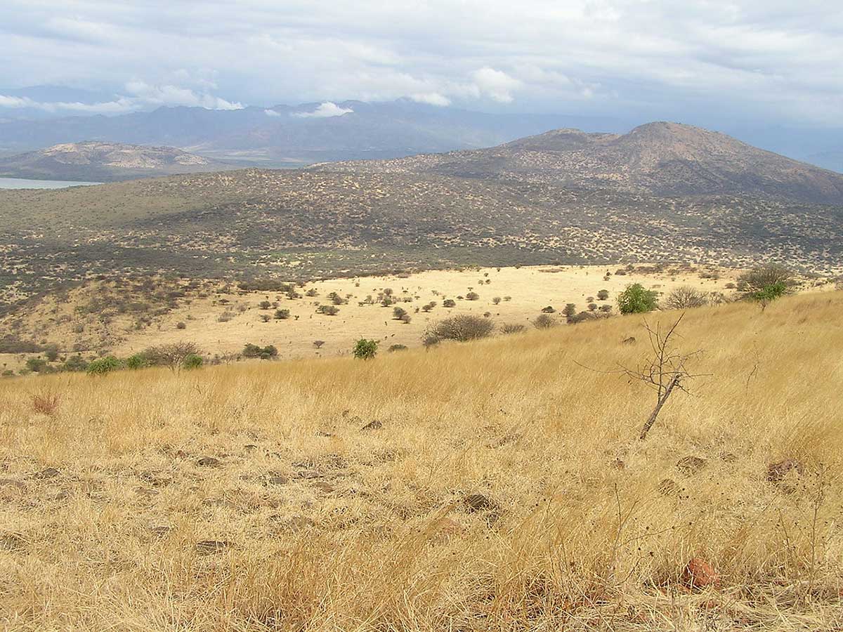 Mahteb Tours, Nechi Sar Nationalpark