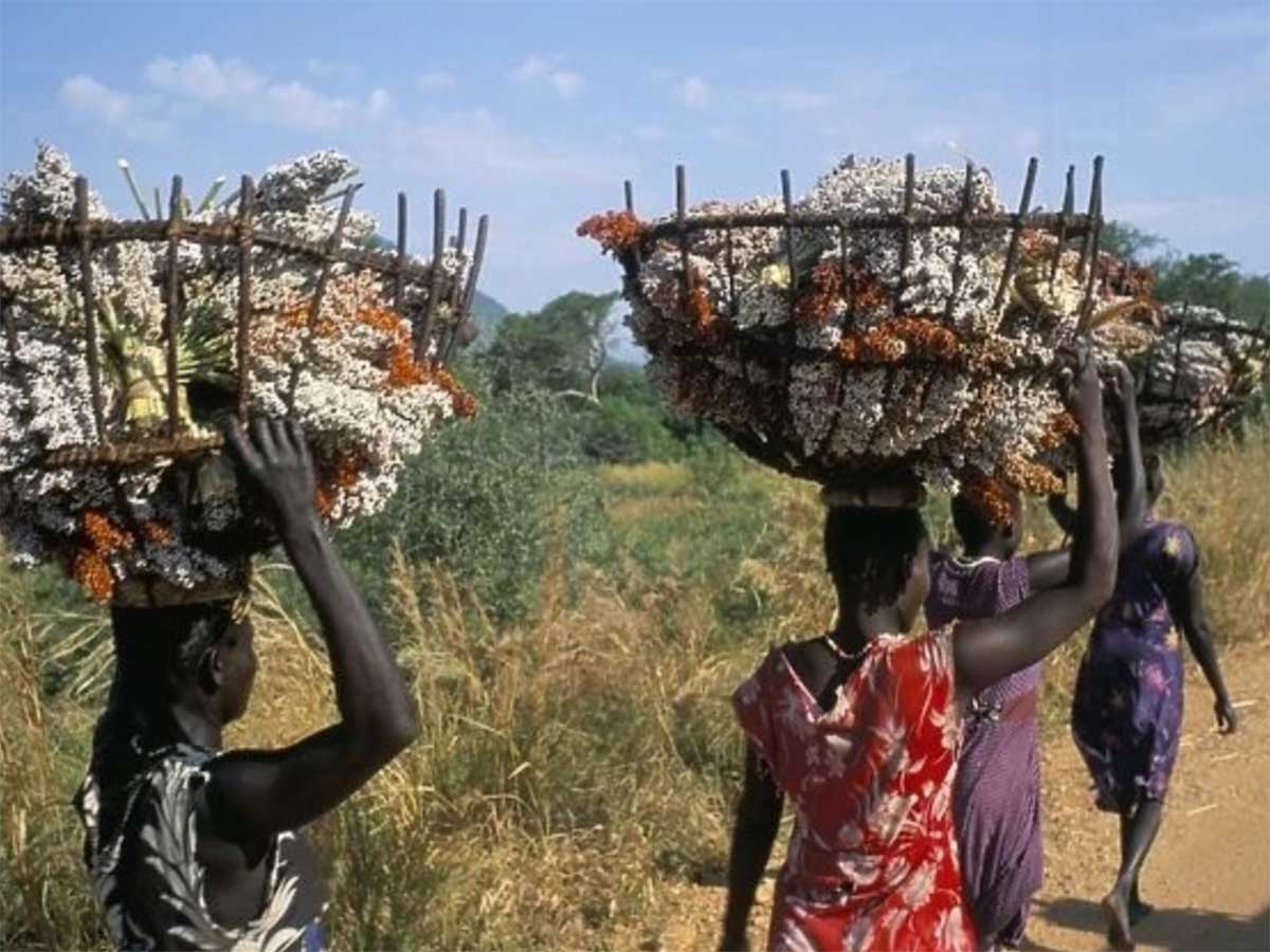 Nuer Women Gambela Mahteb Ethiopian Tours