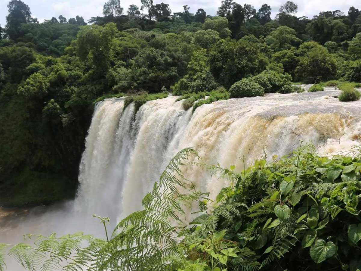 Sor Waterfall Mahteb Ethiopian Tours