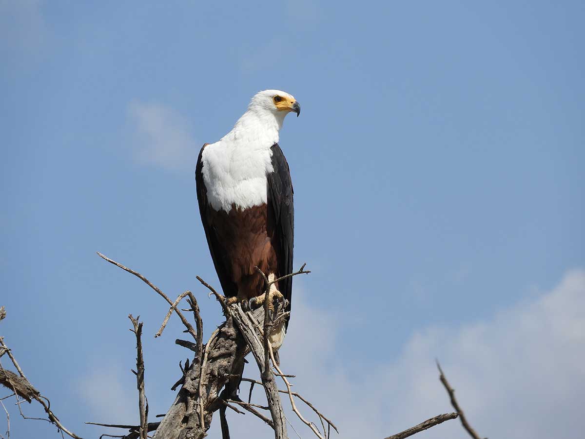 Mahteb Tours, Nechi Sar Nationalpark