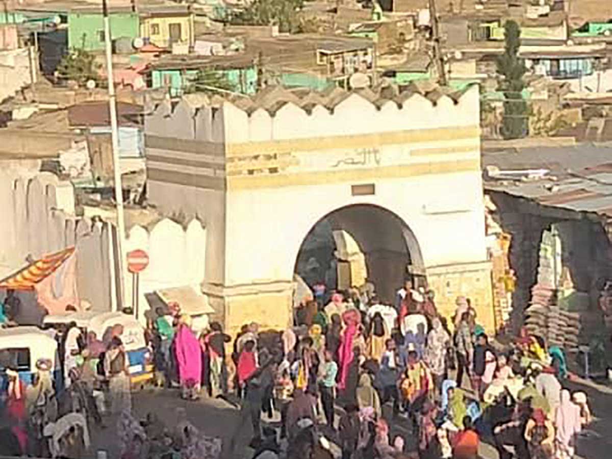 Bale Mountain Trekking Mahteb Ethiopian Tours