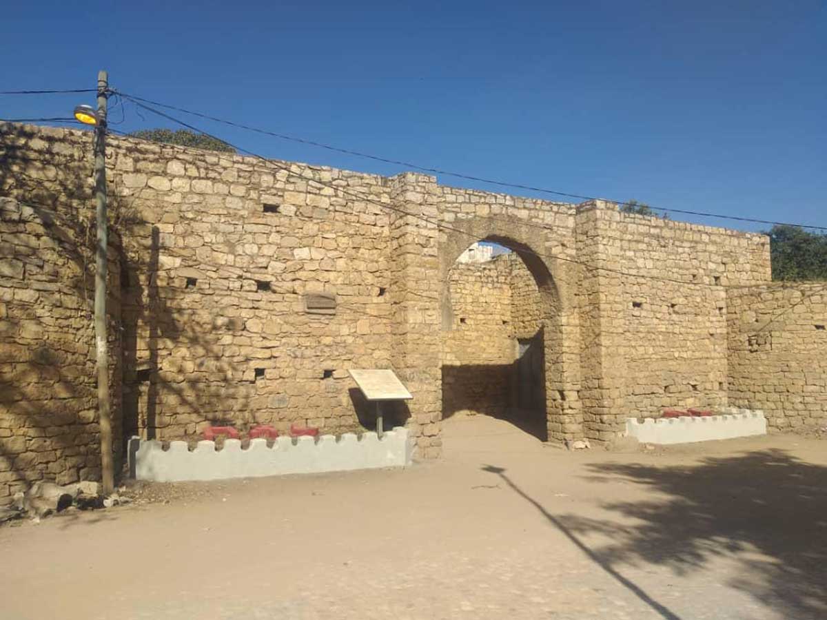 Bale Mountain Ethiopian Wulf Mahteb Ethiopian Tours