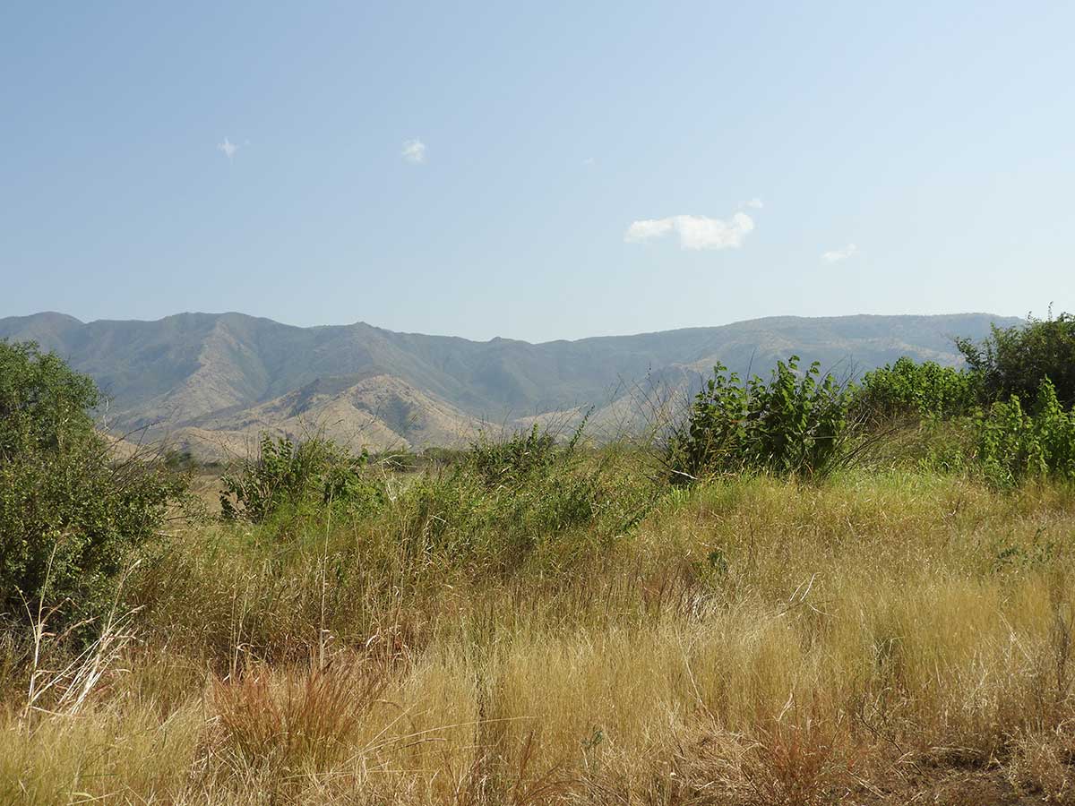 Mahteb Ethiopian Tours, Mago National Park