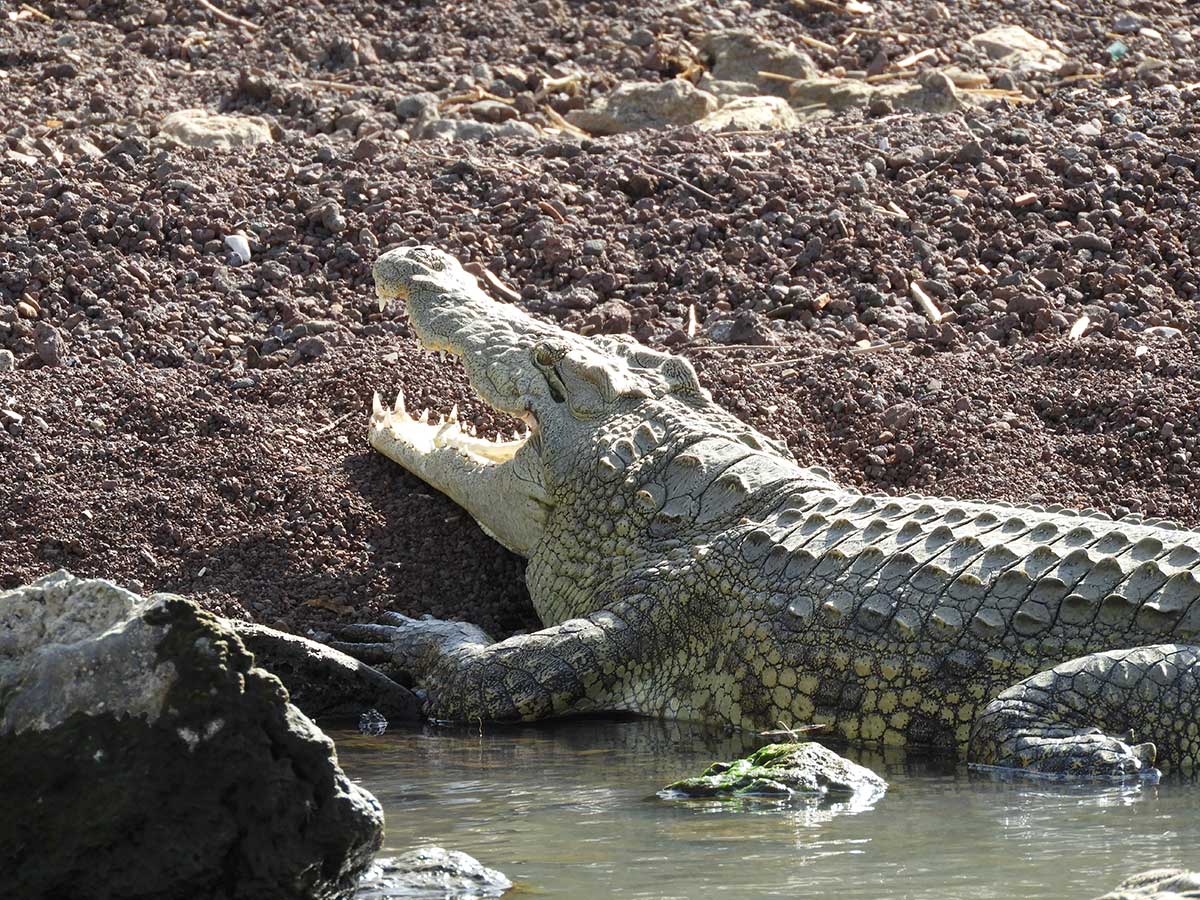 Mahteb Tours, Nechi Sar Nationalpark