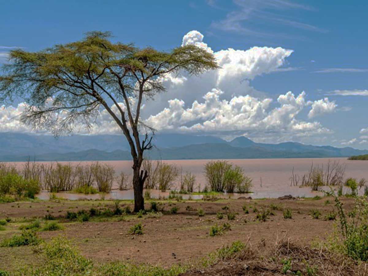 Mahteb Tours, Nechi Sar Nationalpark