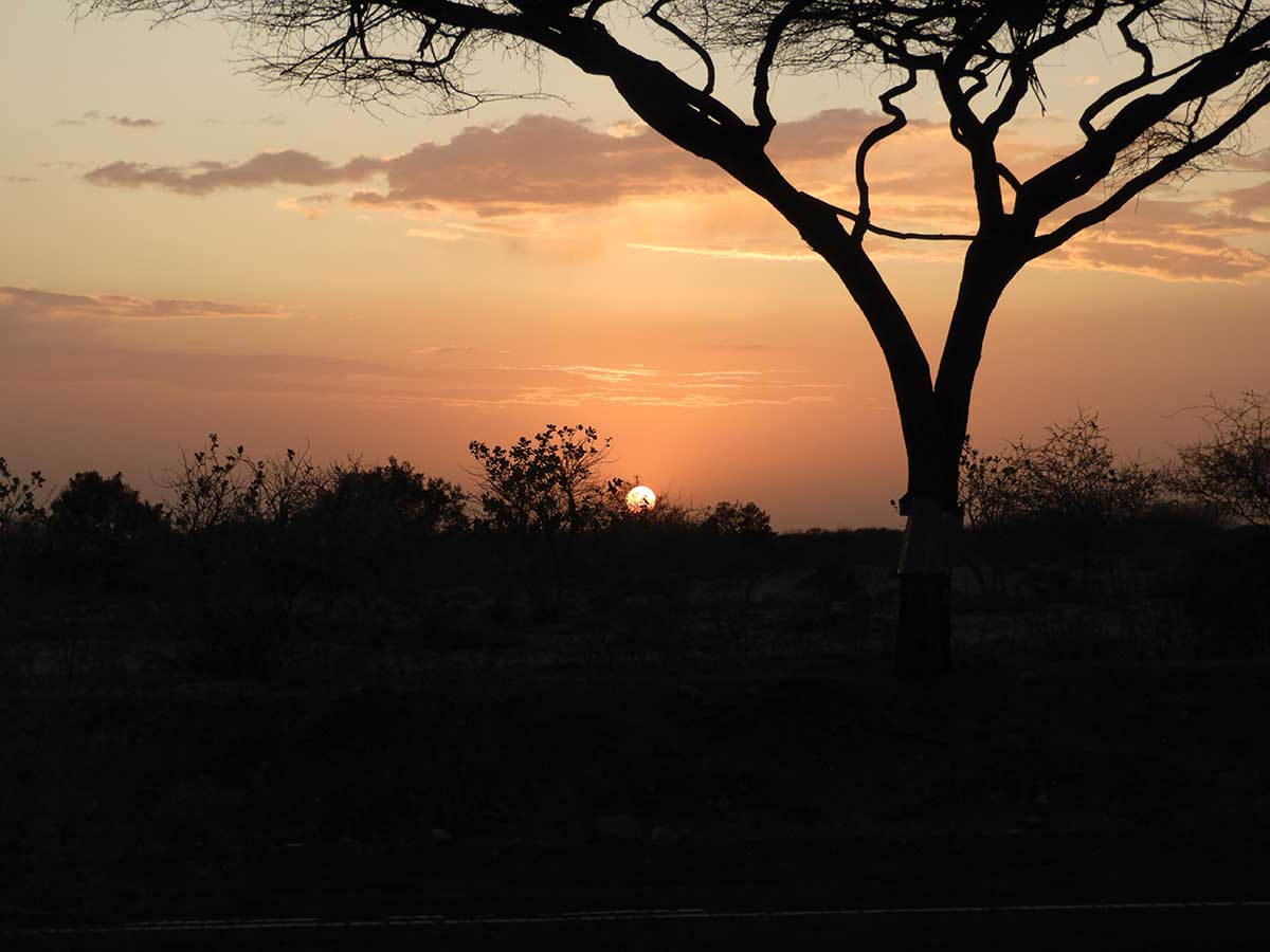 Simien Mountains Mahteb Tours